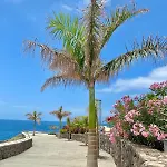 Appartement Deluxe - Oceanfront, Heated Pool