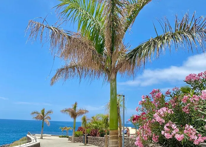 Apartment Deluxe - Oceanfront, Heated Pool